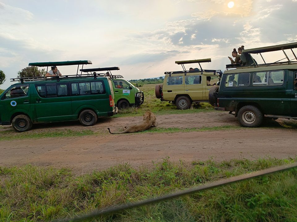 3-days-wildlife-safari-to-queen-elizabeth-np