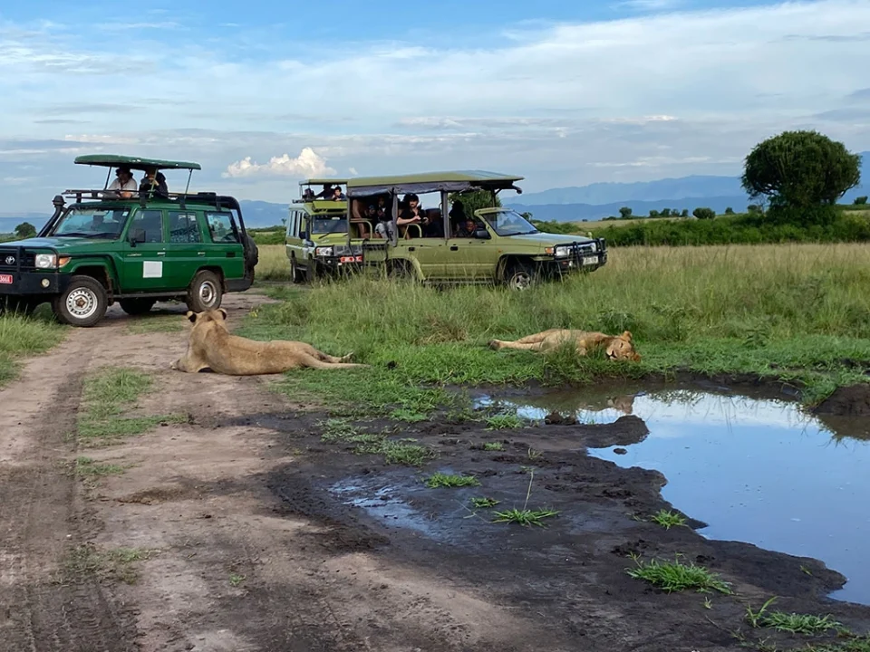 uganda-safaris-from-june-july-august-september