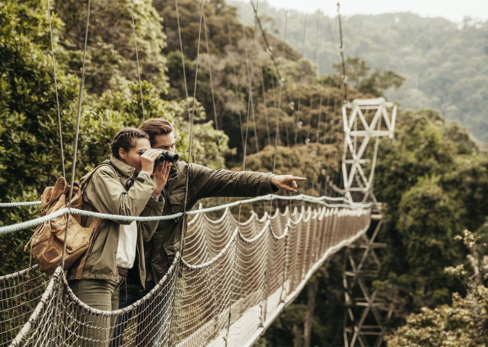 3-day-nyungwe-national-park-and-lake-kivu-experience
