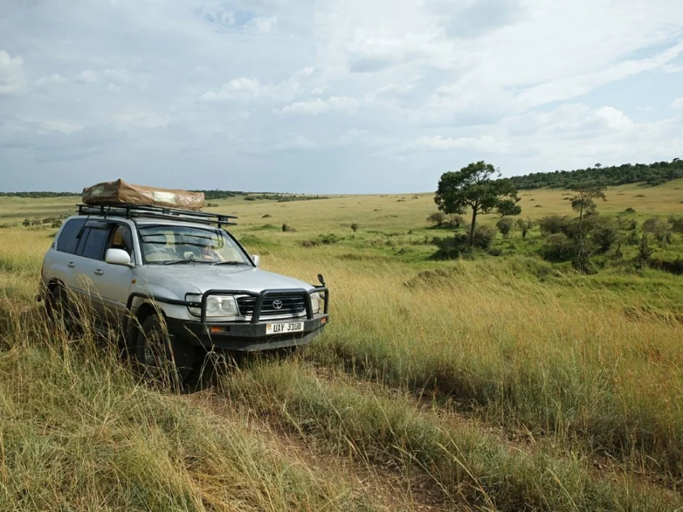 is-it-safe-to-do-a-self-drive-safari-in-uganda