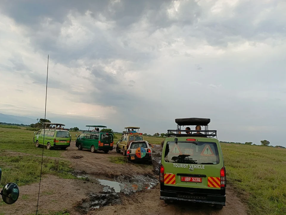where-to-go-for-a-family-tour-in-uganda