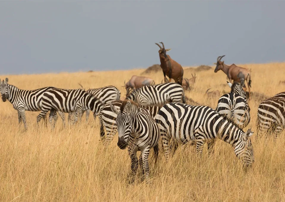 burundi-tours-and-safaris