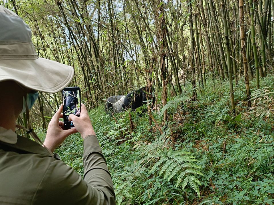 5-day-gorillas-and-wildlife-rwanda-safari