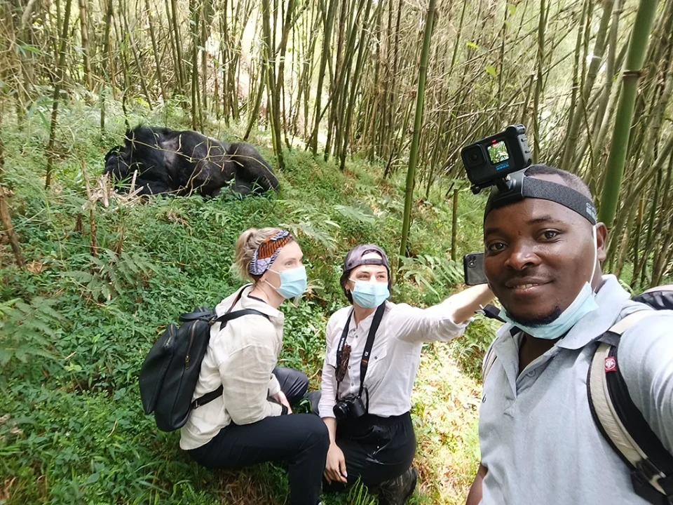 one-day-uganda-gorilla-safari-from-kigali-with-kenlink-tours
