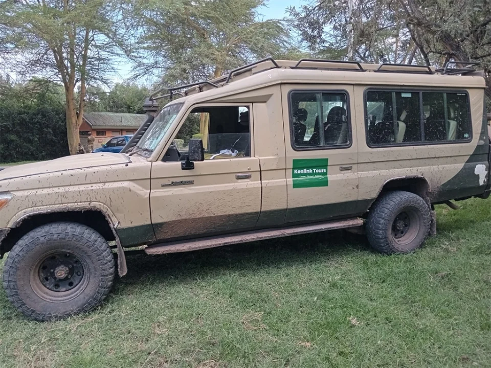 one-day-uganda-gorilla-safari-from-rwanda