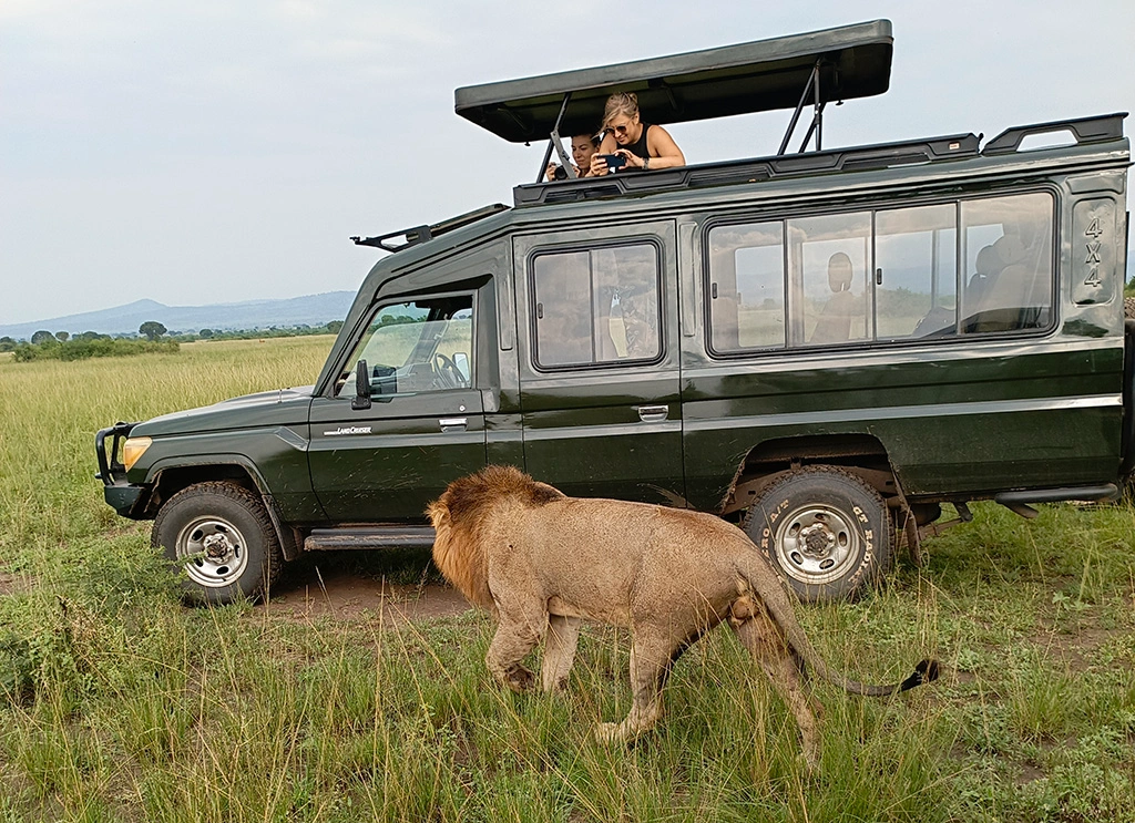 uganda-safaris-that-begin-from-rwanda