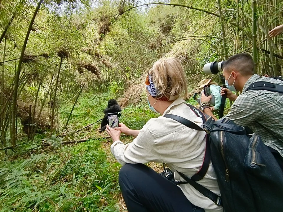how-many-hours-do-i-need-to-from-kigali-to-bwindi-national-park