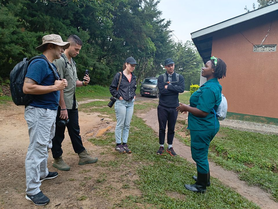 are-there-french-speaking-tour-guides-in-uganda