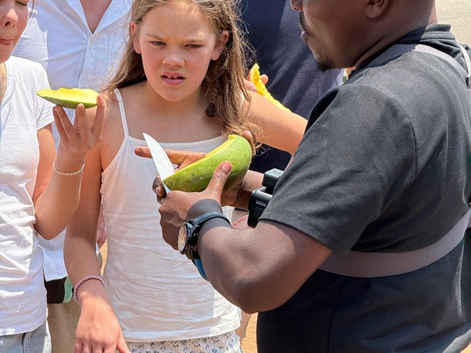 uganda-safari-bookings