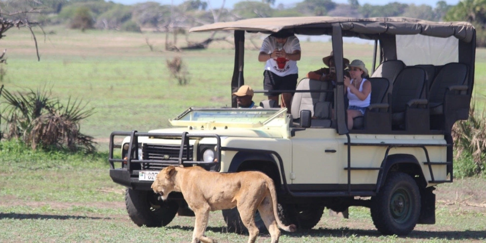 namibia-safaris-starting-from-windhoek