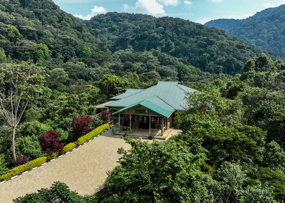eco-lodges-in-bwindi-national-park