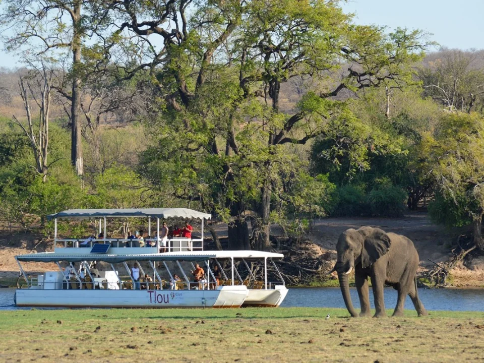 botswana-and-rwanda-safari-combination