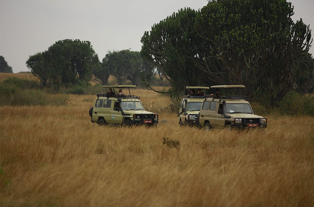 christmas-safari-holiday-tours-in-uganda