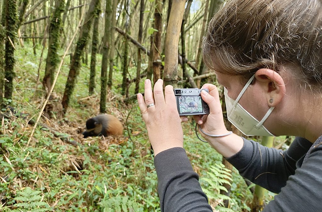 best-uganda-adventure-tours
