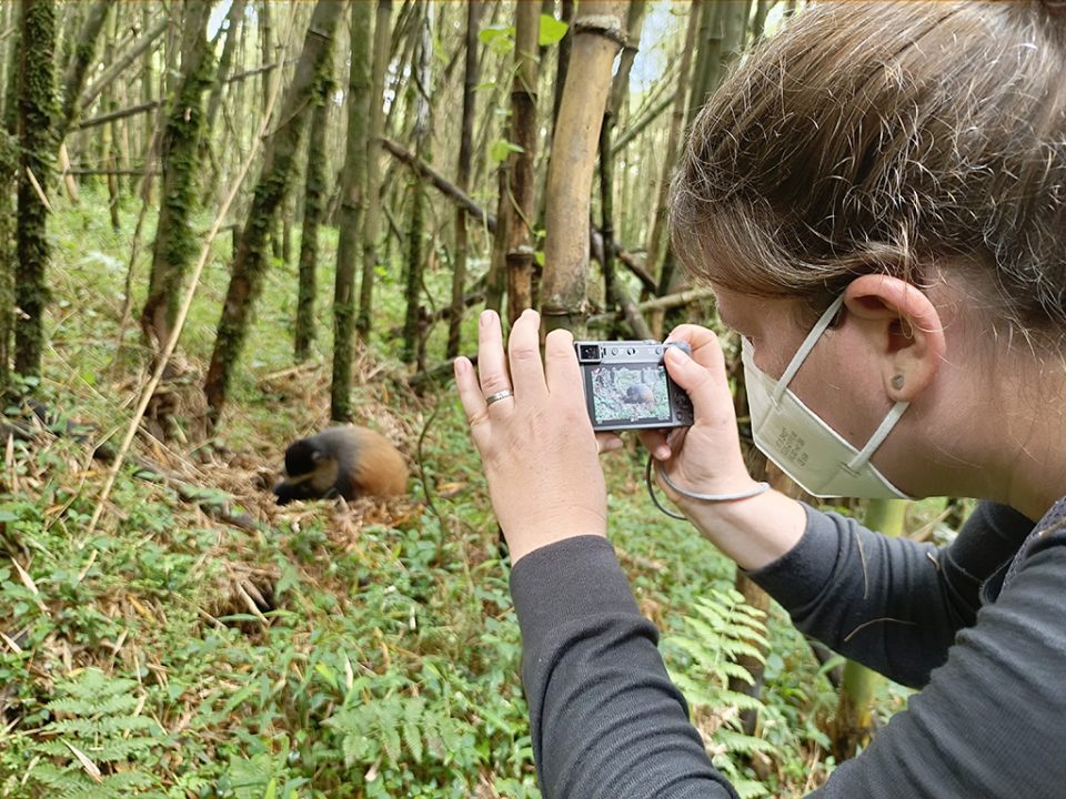 best-uganda-adventure-tours