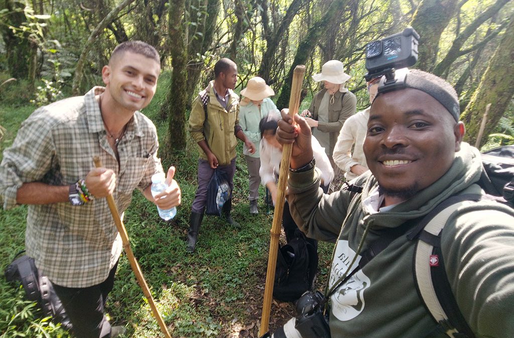 how-many-gorilla-families-are-tracked-in-uganda