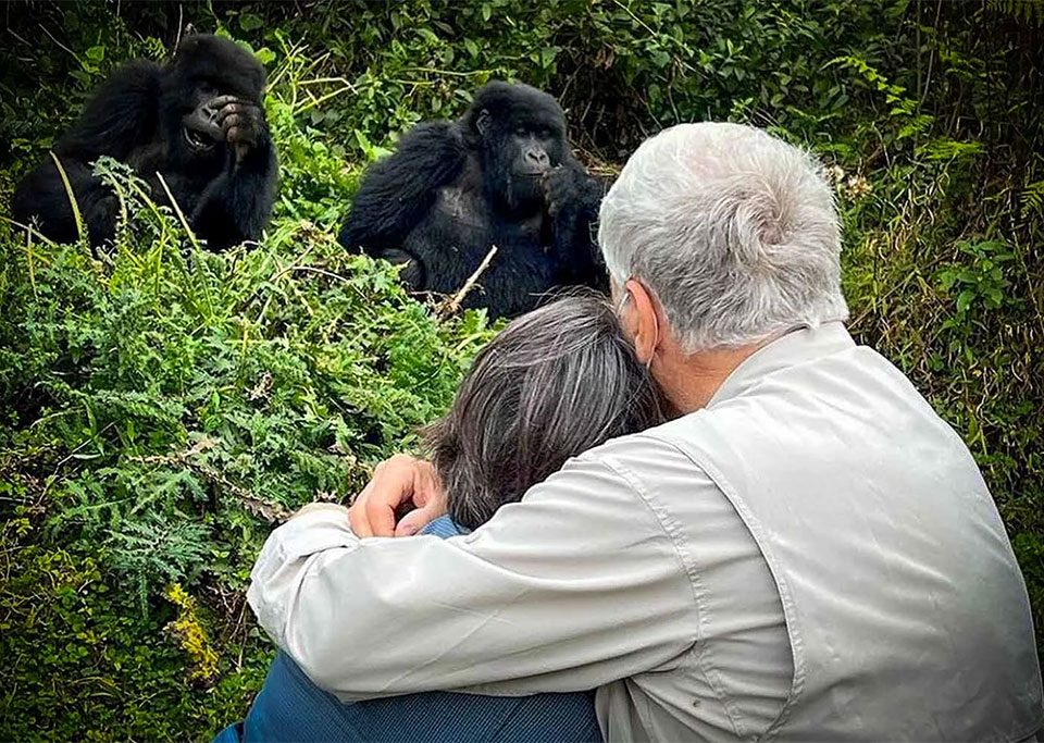 booking-a-gorilla-permit-in-uganda