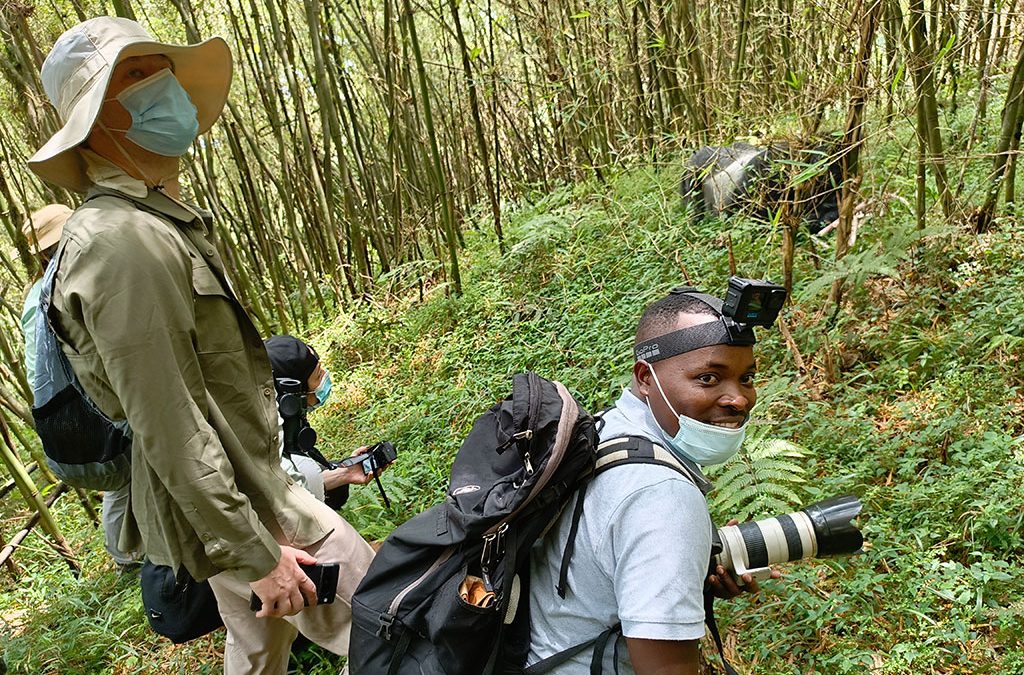 uganda-or-rwanda-gorilla-safaris-which-is-better