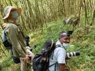 Uganda or Rwanda Gorilla Safaris, which is better