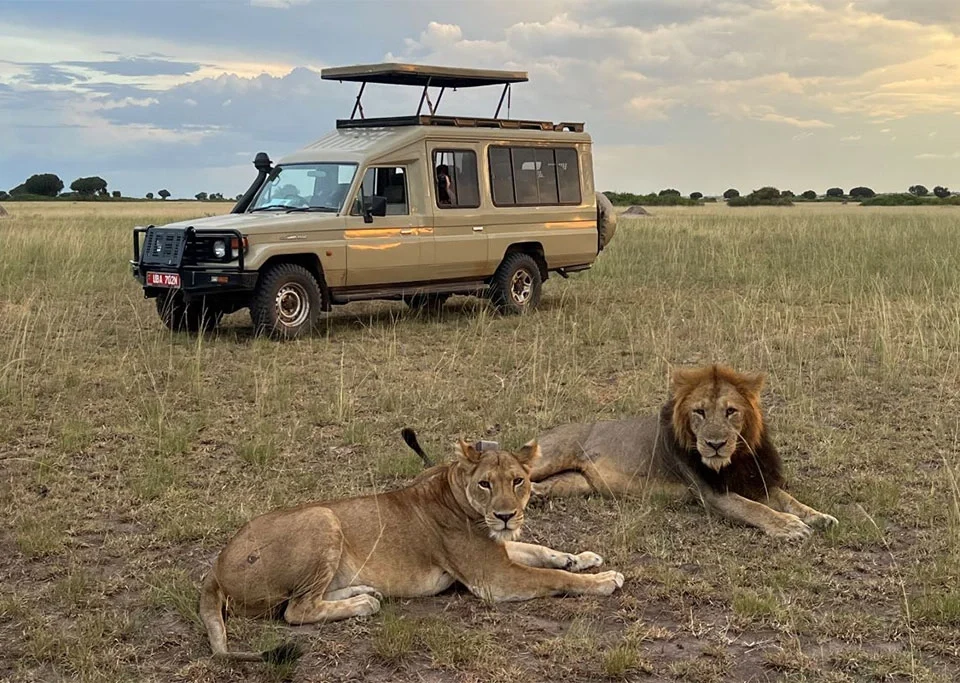 tour-operators-in-entebbe