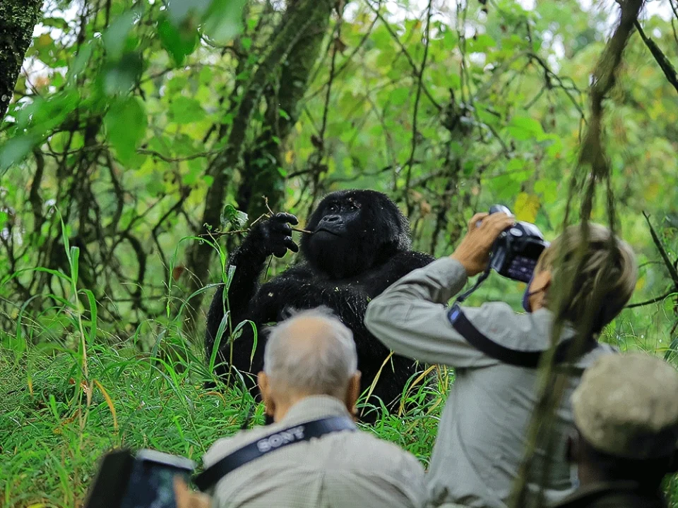 photography-safaris-in-uganda