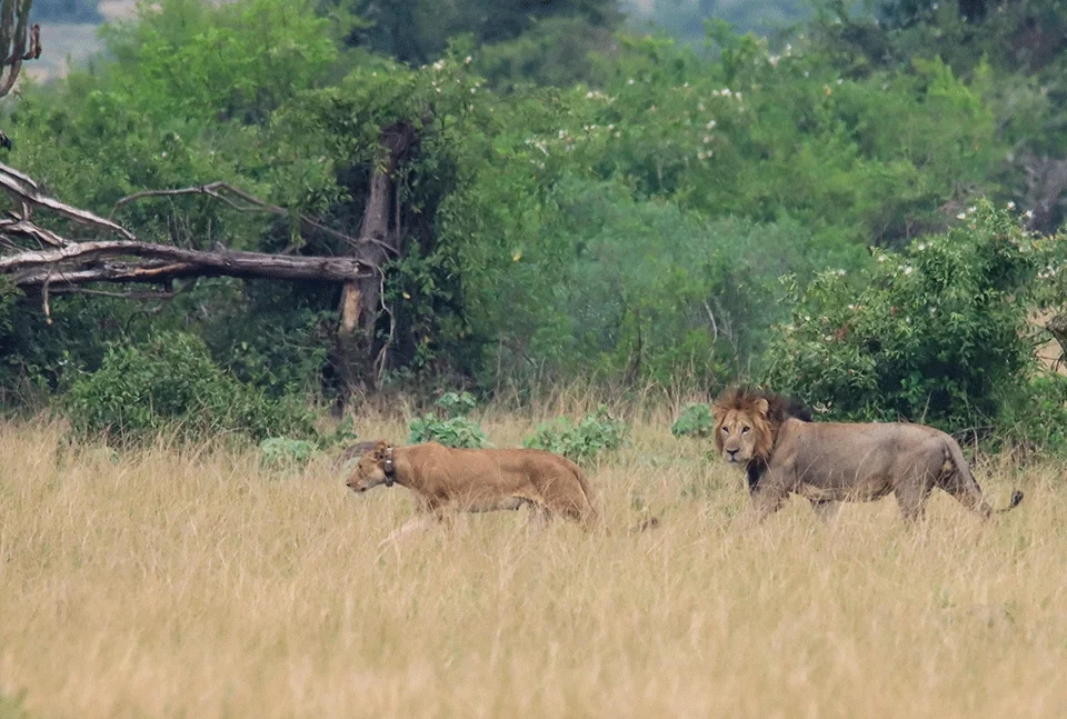 most-visited-places-in-uganda