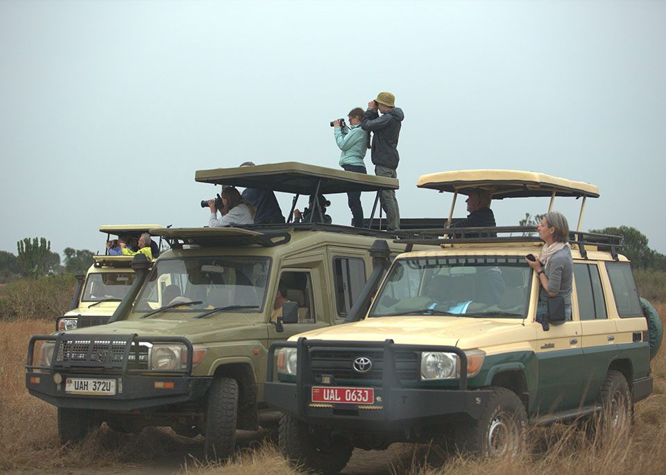 uganda-safaris-starting-from-rwanda