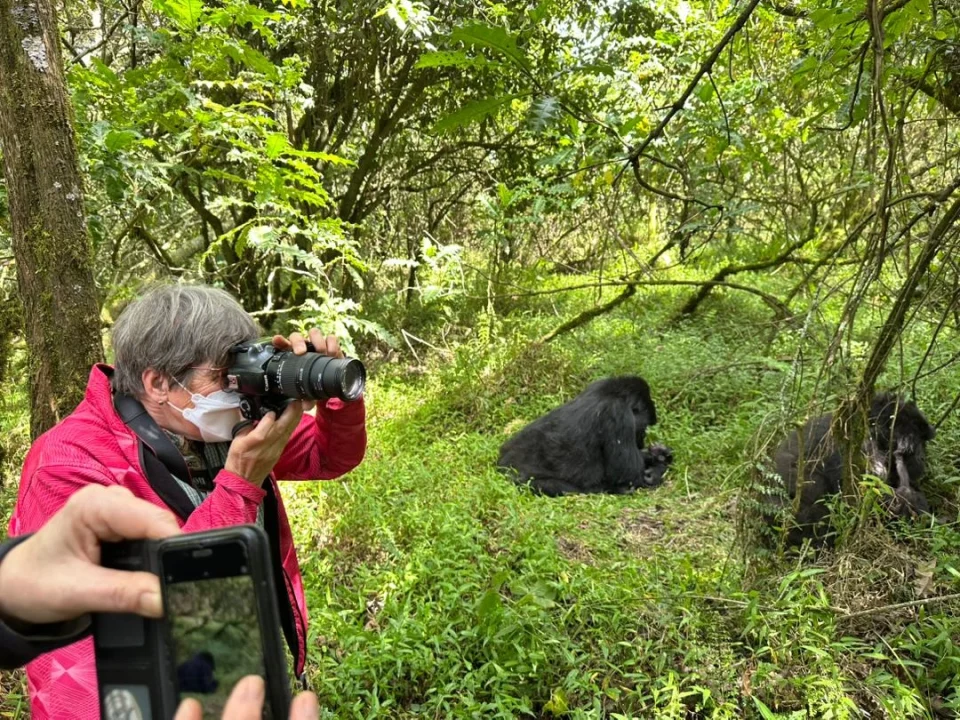combining-serengeti-with-gorilla-trekking-safari