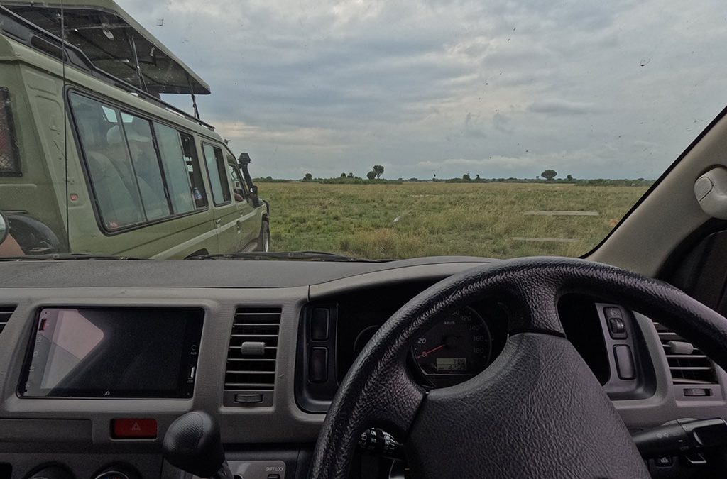 one-day-gorilla-trekking-in-uganda-via-kigali-rwanda