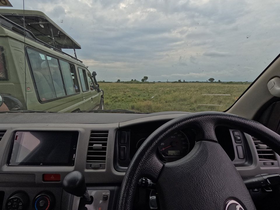 one-day-gorilla-trekking-in-uganda-via-kigali-rwanda