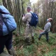 how-much-is-gorilla-and-chimpanzee-safari-in-uganda