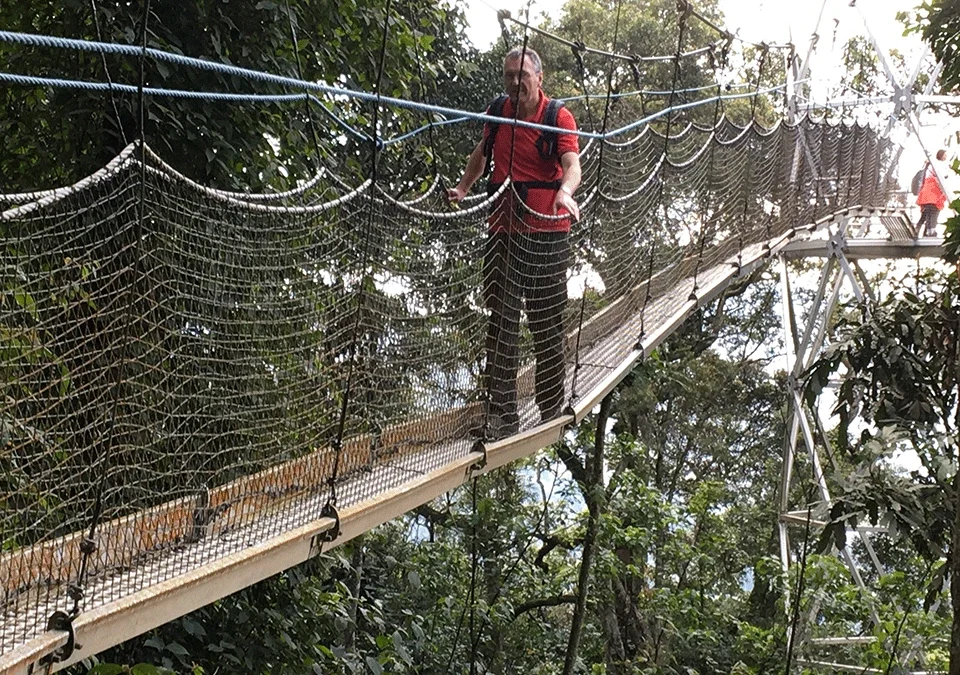 what-to-do-in-nyungwe-park-besides-chimpanzee-tracking