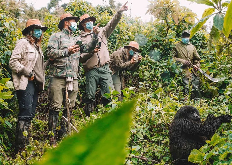 uganda-rwanda-combined-safari-tour