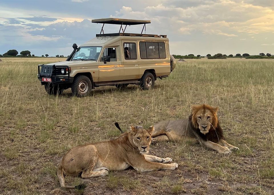 a-big-five-safari-in-uganda