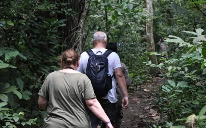 hiking-cyinzobe-trail-in-nyungwe-forest