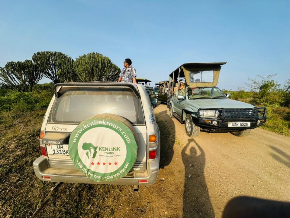 game-drive-in-queen-elizabeth-national-park