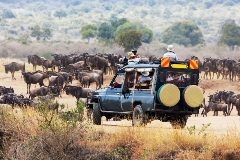 10-days-kenya-and-uganda-safari-itinerary