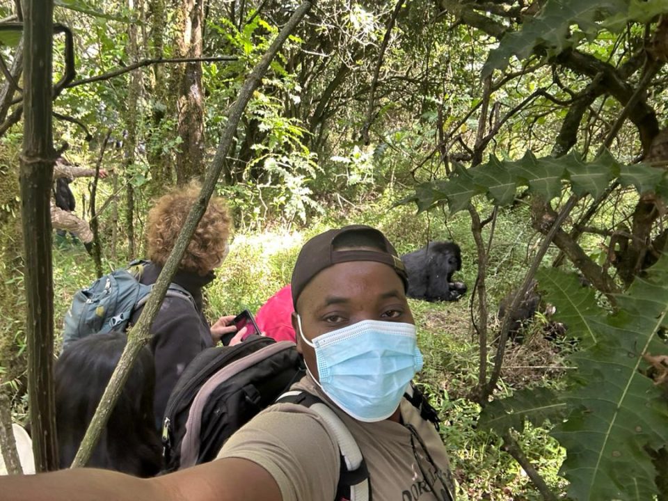 3-day-luxury-gorilla-trekking-safari-in-uganda-bwindi