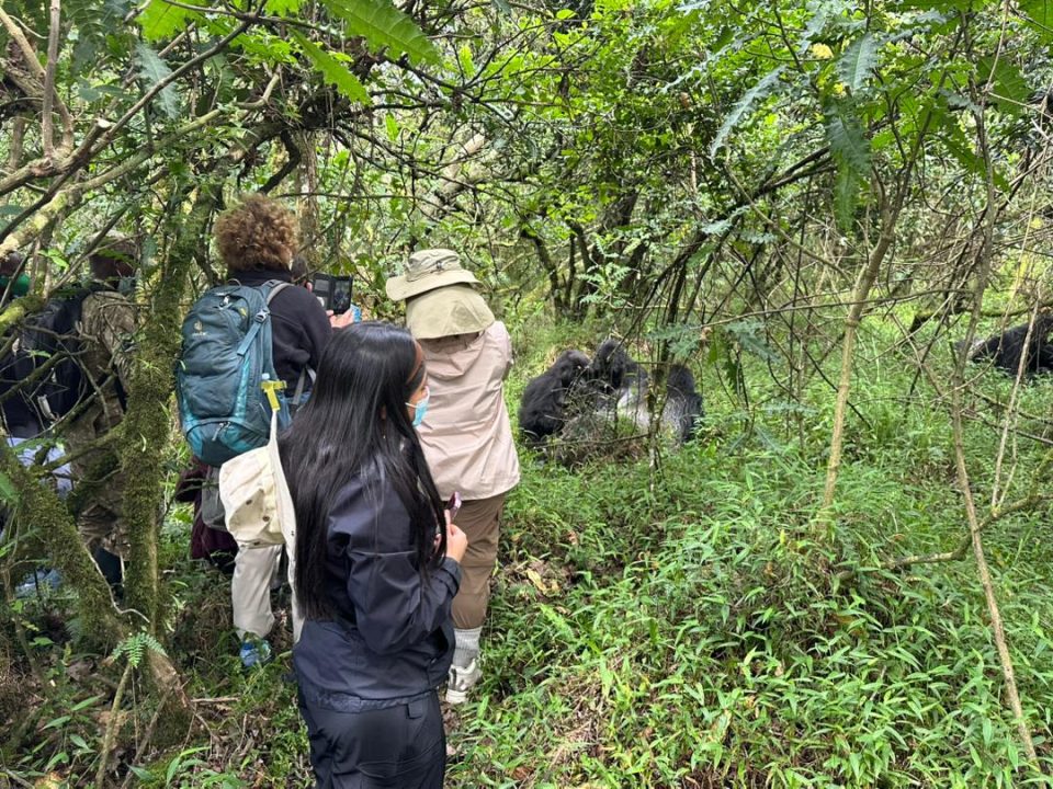1-day-uganda-gorilla-tour