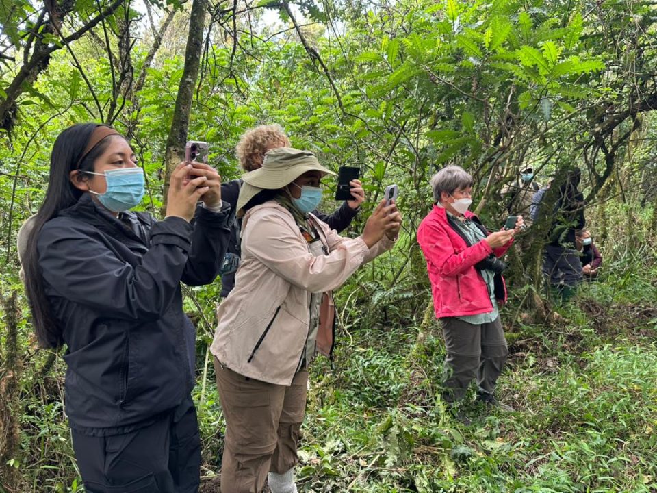 can-i-combine-nyungwe-forest-with-gorilla-trekking-in-uganda