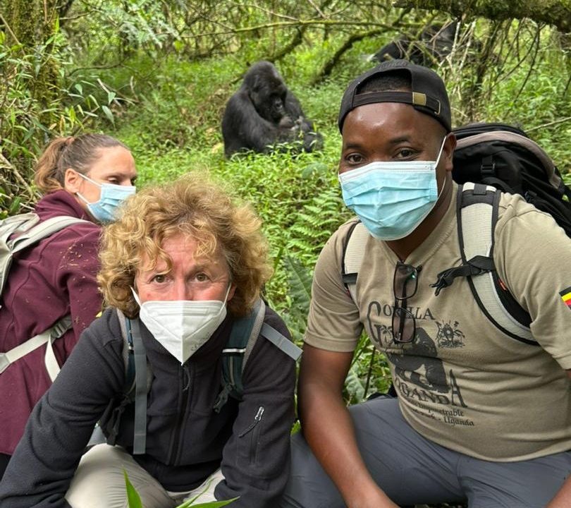 comparing-gorilla-trekking-in-mgahinga-and-bwindi-national-park