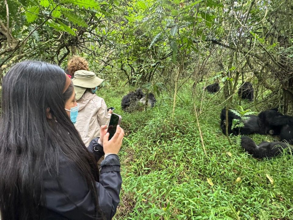 gorilla-trekking-and-big-five-safari-in-uganda