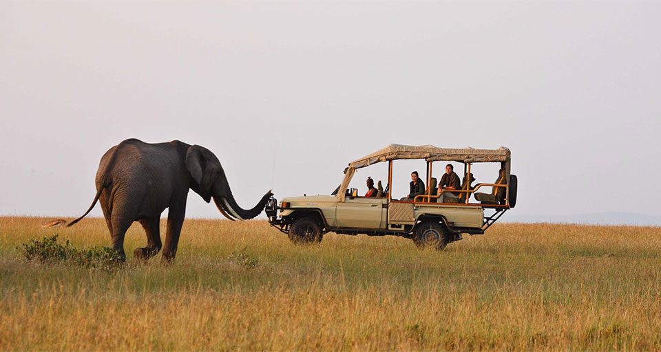best-tours-that-cover-kenya-tanzania-and-uganda