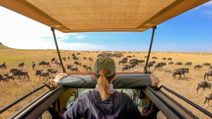 combining-uganda-gorillas-kenya-safari-the-great-migration