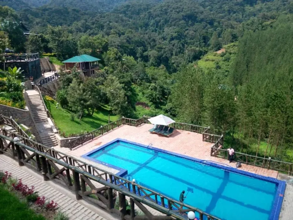 lodges-with-swimming-pool-in-bwindi-national-park