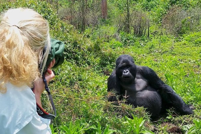 3-days-short-uganda-gorilla-tracking-safari