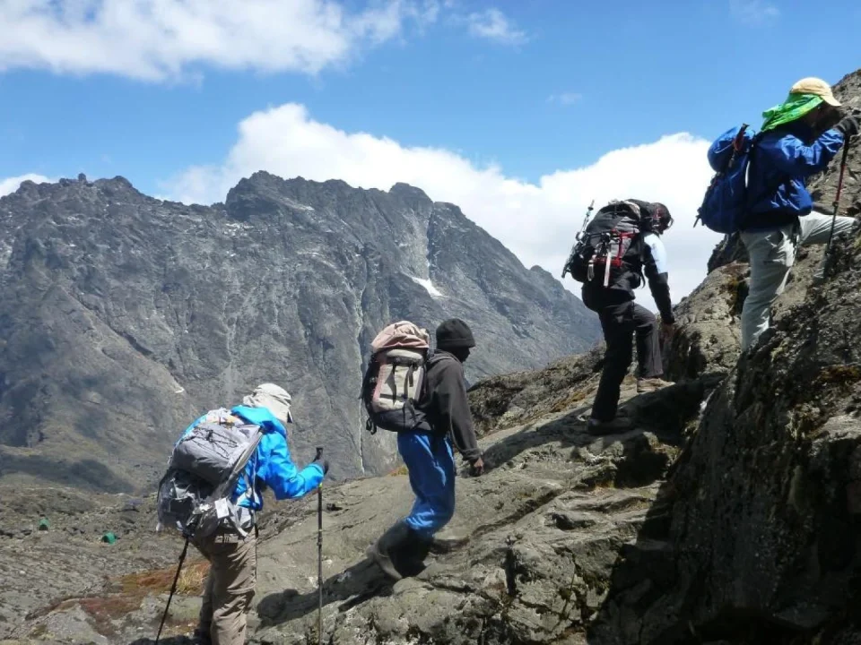 one-day-rwenzori-mountain-trekking