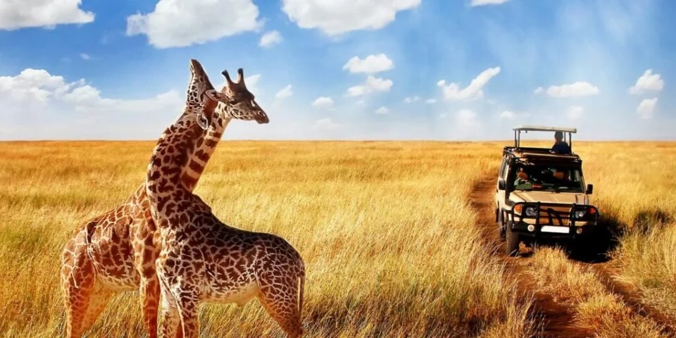rwanda-safaris-beyond-gorillas-wildlife-culture