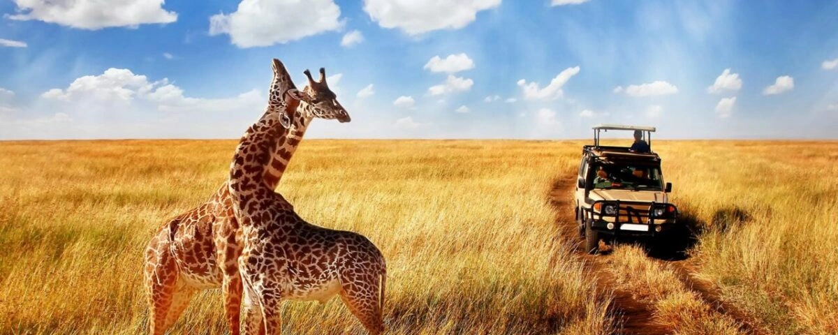 rwanda-safaris-beyond-gorillas-wildlife-culture
