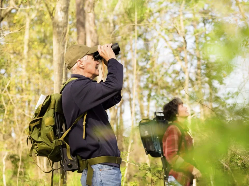 15-days-of-uganda-birding-and-cultural-encounter
